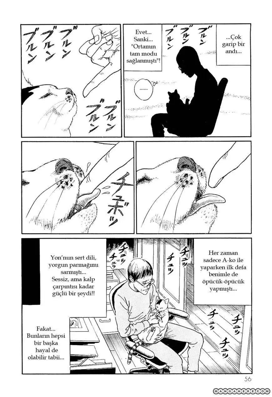 Ito Junji's Cat Diary Chapter 5 10